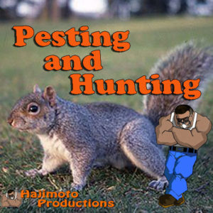Pesting Videos